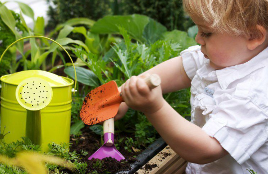 So machen Sie Ihren Garten winterfest: Einfache Tipps für eine üppige Frühlingsblüte Die 7 häufigsten Gartenfehler im Herbst, die Ihre Stauden ruinieren können