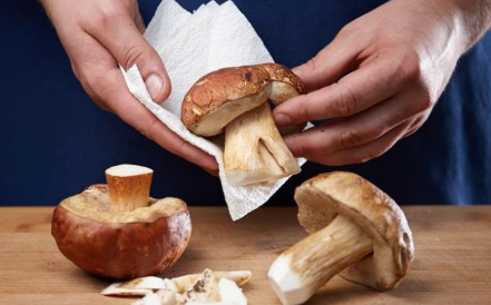 Pilze richtig waschen: Tipps für Champignons, Austernpilze, Pfifferlinge und Morcheln Pilze