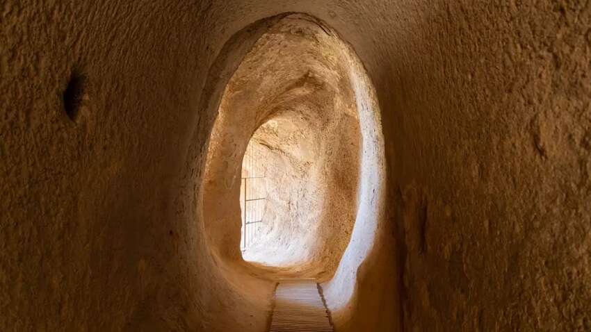 Wissenschaftler entdecken unterirdische Tunnel von pleistozänen Riesenfaultieren mit einer Länge von bis zu 600 Metern