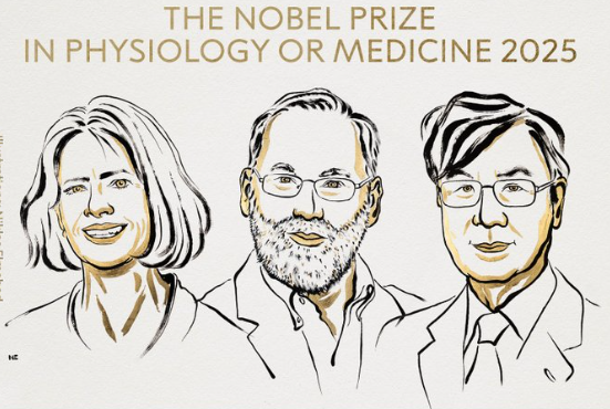Nobelpreis für Medizin 2025: Gewinner bekannt gegeben Der Nobelpreis für Medizin und Physiologie 2025 wurde an Mary Brunkow, Fred Ramsdell und Shimon Sakaguchi verliehen