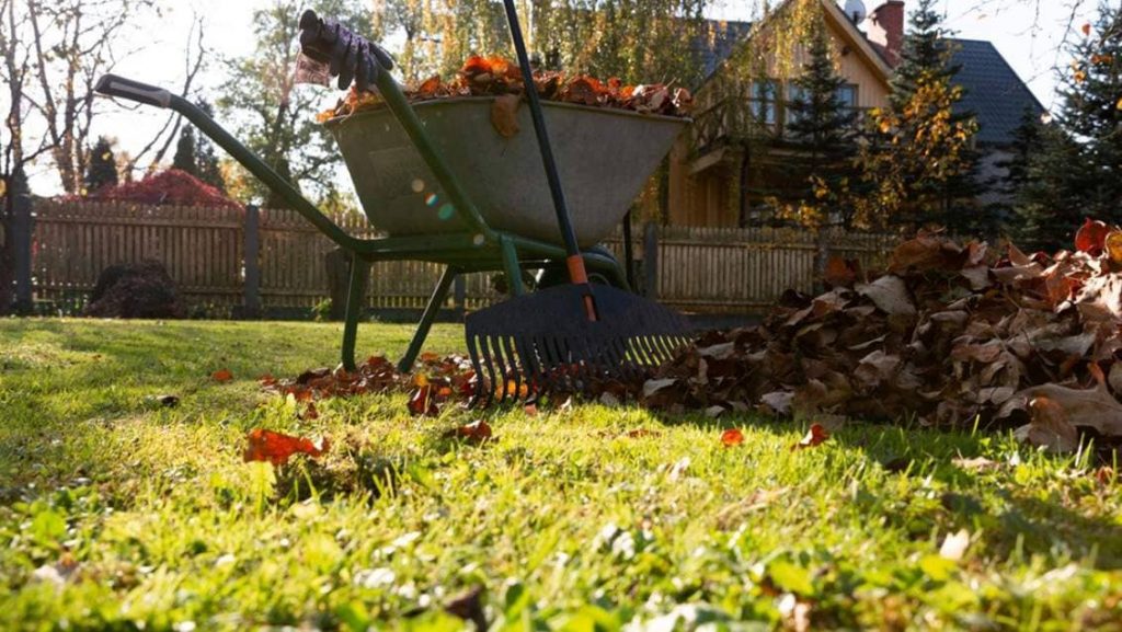 Aussaatkalender November 2025 – Günstige Pflanztage für Gemüse, Kräuter, Obst und Blumen Aussaatkalender für November 2025
