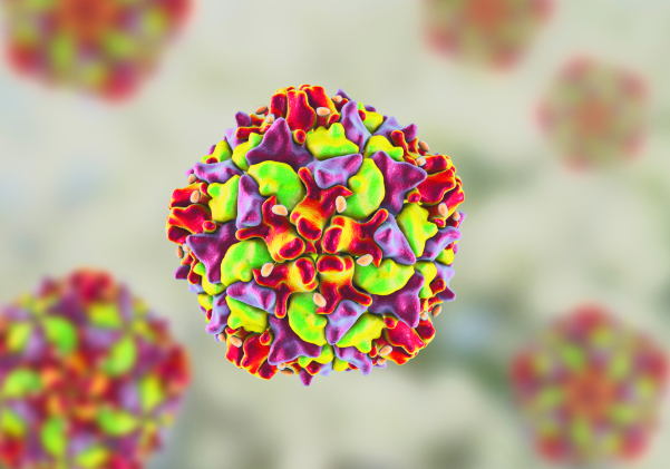 In Deutschland wurde Wildtyp-Poliovirus im Abwasser gefunden – RKI erklärt, warum das Risiko gering bleibt In Deutschland wurde Wildtyp-Poliovirus im Abwasser gefunden – RKI erklärt, warum das Risiko gering bleibt