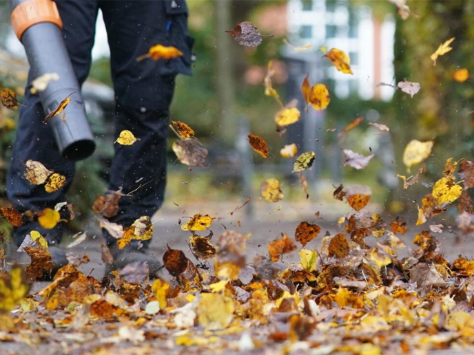 Deutsche Gartenexperten erklären, wie man Herbstlaub richtig nutzt und Probleme vermeidet Gärtner in Deutschland empfehlen am 15. November sichere Nutzung von Laub – drei Tipps