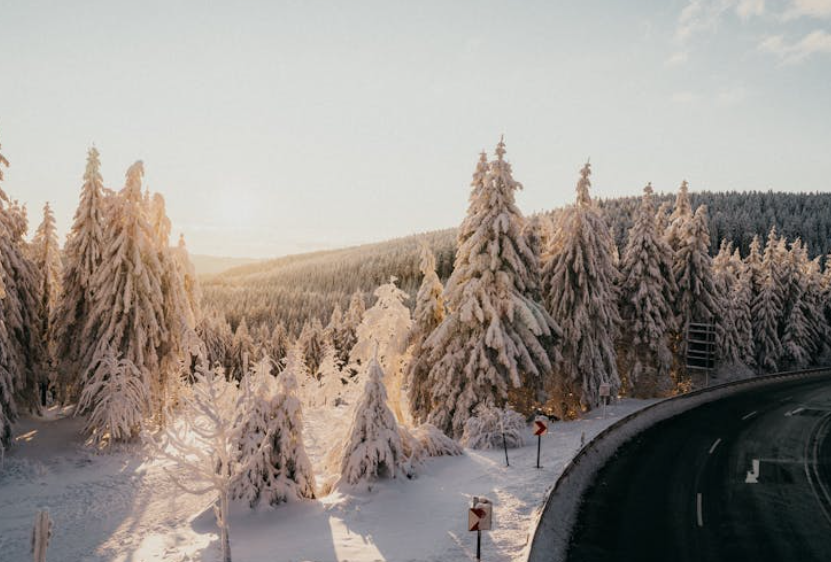 DWD meldet am 23. November strengen Frost in Deutschland – bis –15 °C und erhöhte Glättegefahr Wetter in Deutschland am 23. November: DWD warnt vor Frost bis –15 °C