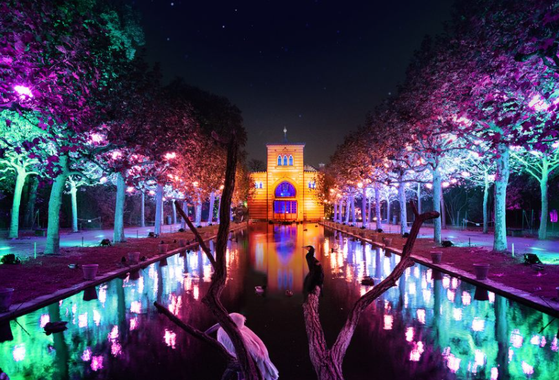 Christmas Garden im Botanischen Garten Berlin: Wo Tickets kaufen und alle Preise Christmas Garden im Botanischen Garten Berlin: Tickets kaufen und Preise 2025