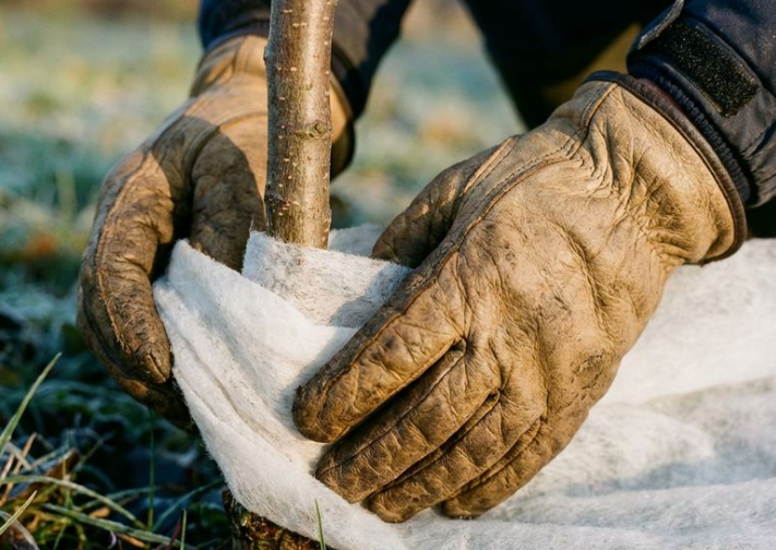 Gartenkalender Dezember: Wichtigste Arbeiten, Pflegetipps & Winterschutz im Überblick Dezember-Checkliste für den Garten: Rückschnitt, Barbarazweige, Vogelfütterung & Teichpflege